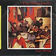 Sugar Bridge - The Bluebells