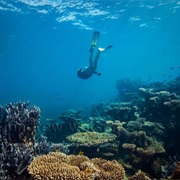 Ningaloo Marine Park