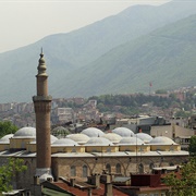 Bursa