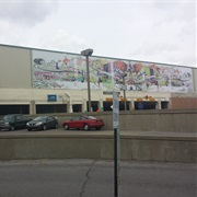 Greyhound Bus Lines (Indianapolis, IN)