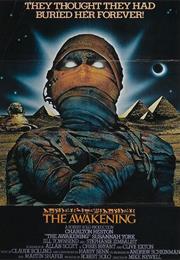 The Awakening (1980)