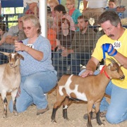 Goats, Music & More Festival, Tennessee