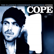 The Clarence Greenwood Recordings