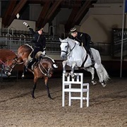 French Equitation
