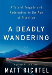 A Deadly Wandering (Matt Richtel)
