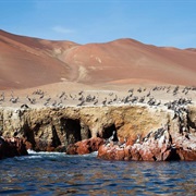 Pisco Province, Peru