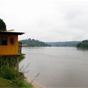 Ogooué River