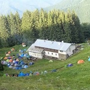 Bulgaria Blueberry Festival