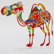 Bold Camel