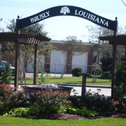 Brusly, Louisiana