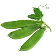 Snow Pea