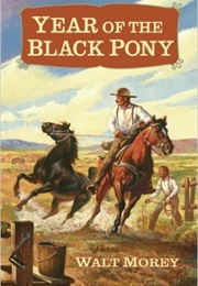 Year of the Black Pony (Walt Morey)