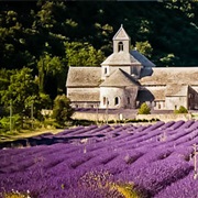 The Lubéron, France