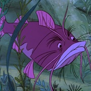 Catfish