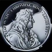 Chroming Rose - Louis XIV