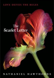 The Scarlet Letter (Nathaniel Hawthorne)