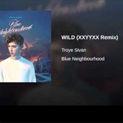 Wild (XXYYXX Remix)