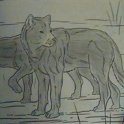 Prehistoric Wolf
