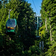 Ride in a Tree Gondola