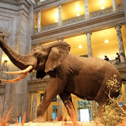 National Museum of Natural History