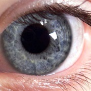 Grey Eyes