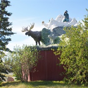 The Muffin, Haines Junction, Yukon, Canada