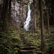 Black Forest - Germany