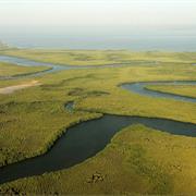 Saloum Delta