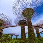 OCBC Skyway, Gardens by the Bay