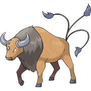 Tauros