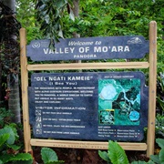 Valley of Mo'ara Walk-Through