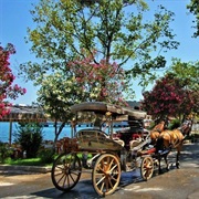 Visit Istanbul's Princes' Islands