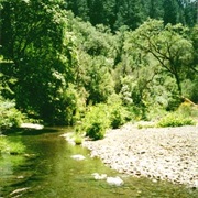 Austin Creek State Recreation Area, California