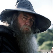 Gandalf the Grey