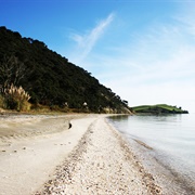 Kaitarakihi Bay