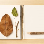 Blank Journal That You Haven't Started