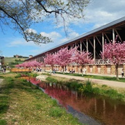 Kurpark, Bad Dürkheim
