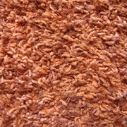 Shag Carpet
