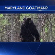 Maryland - The Goatman