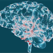 Alzheimer's Disease