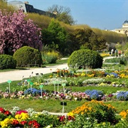 Jardin Des Plantes