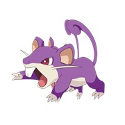 Rattata