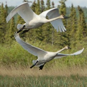 Innoko National Wildlife Refuge