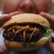 Mealworm Burger
