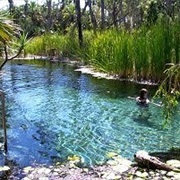 Mataranka Springs