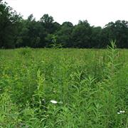 Jennings Environmental Education Center