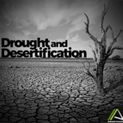 World Day to Combat Desertification and Drought (June 17)