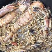 Pacchero / Galera (Squilla Mantis)