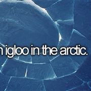 Stay in a Igloo