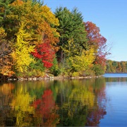 Walden Pond